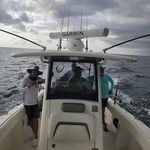 Meet your Posher, Paul